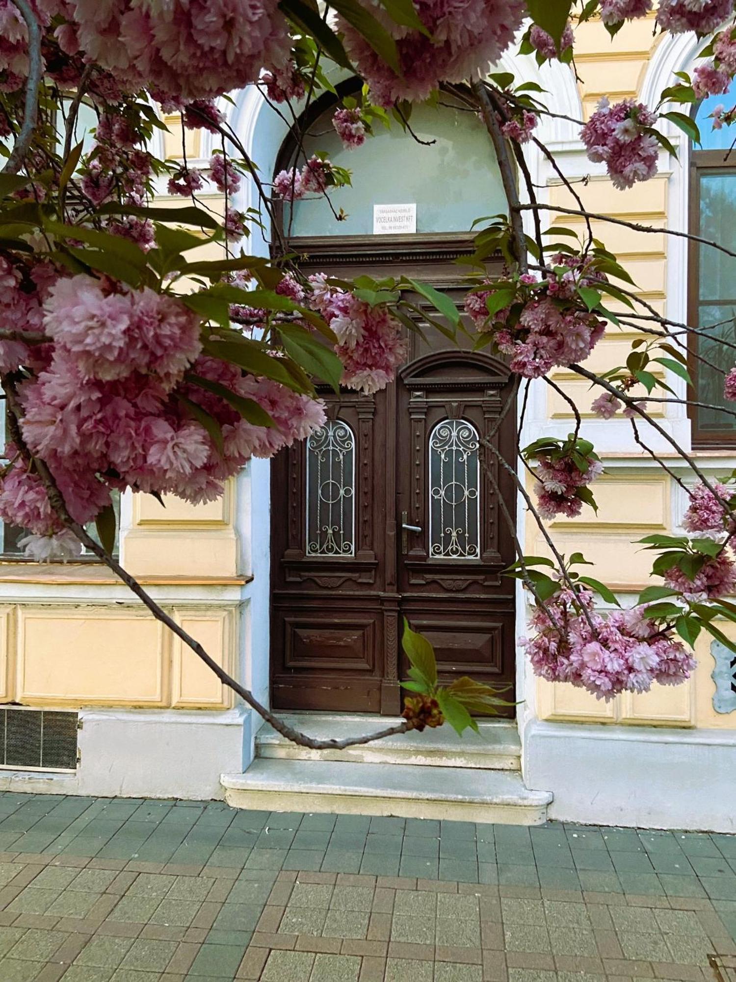 Silentium City Apartman Sarvar Exterior photo